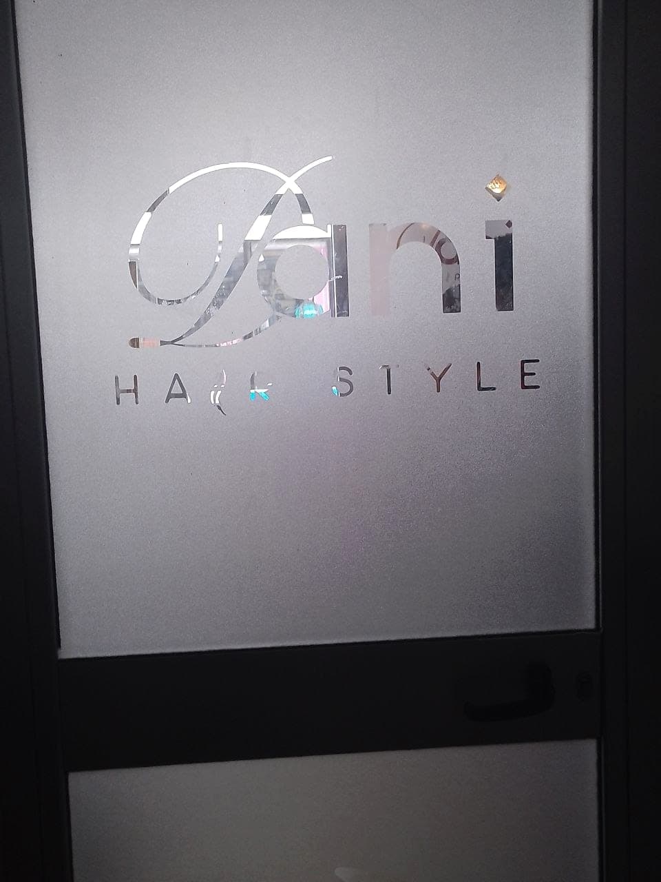 Frosted glass door with the Dani Hair Style logo cut out of the frosting so the clear glass reads as the lettering